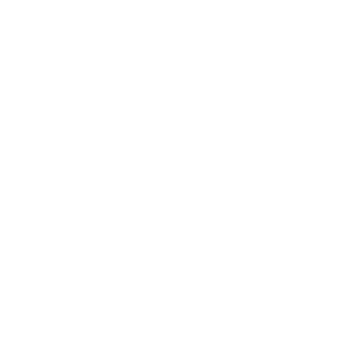 Programmers in the Wild